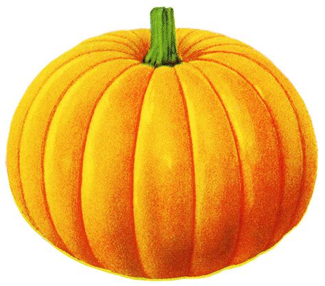 pumpkin stock photo|free printable pumpkin images.